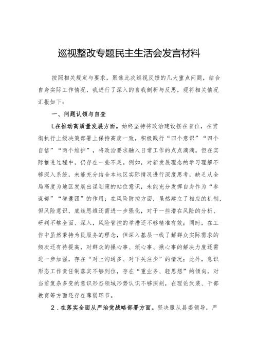 巡视整改专题民主生活会发言材料.docx