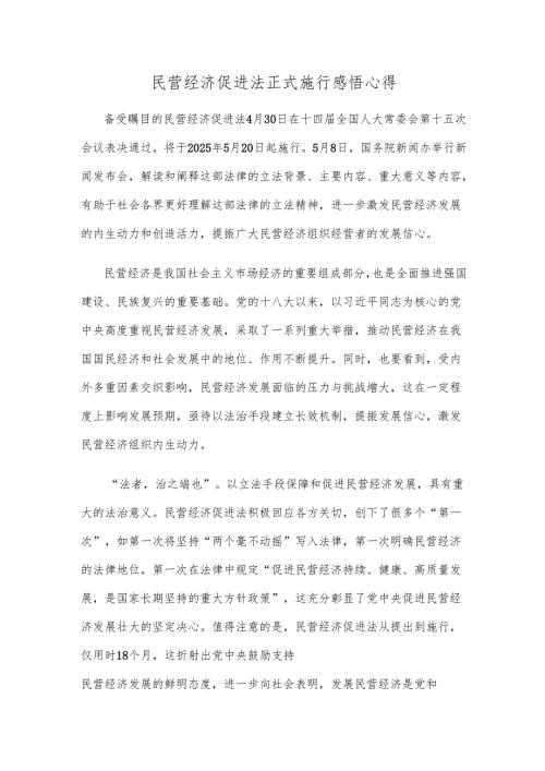 民营经济促进法正式施行感悟心得.docx