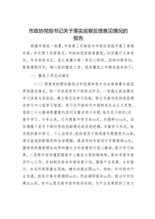 市政协党组书记关于落实巡察反馈意见情况的报告.docx