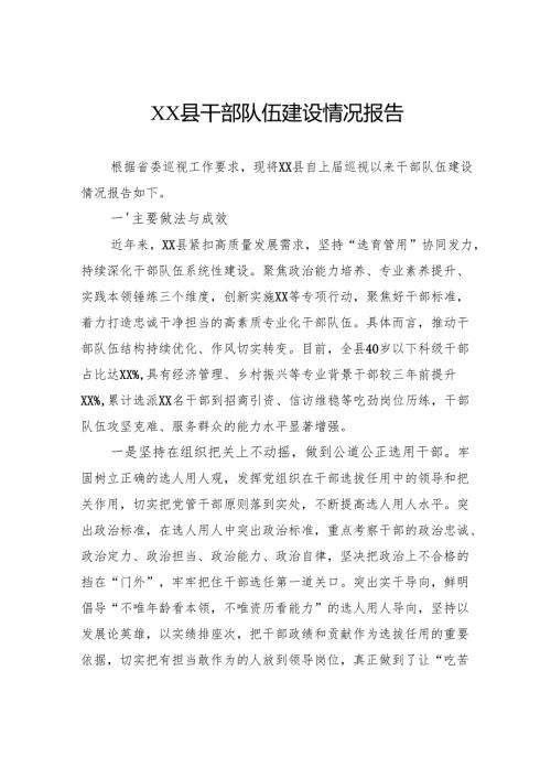 干部队伍建设情况报告.docx