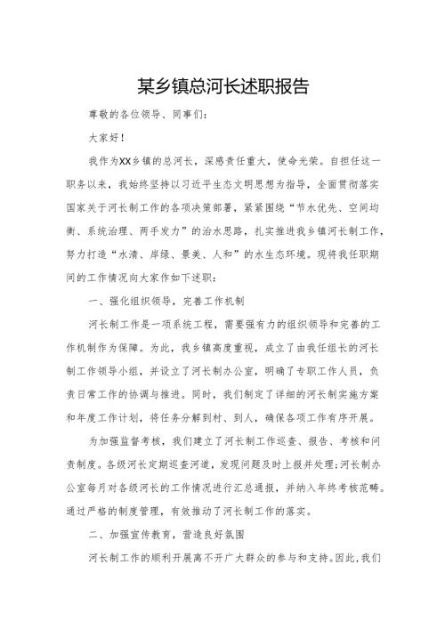 某乡镇总河长述职报告.docx