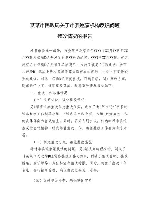 某某市民政局关于市委巡察机构反馈问题整改情况的报告.docx