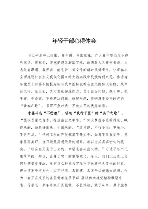 年轻干部心得体会.docx