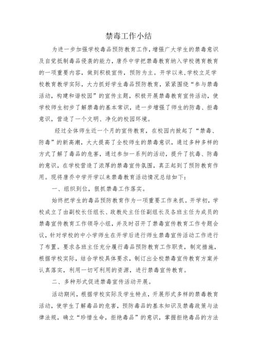 禁毒工作小结.docx