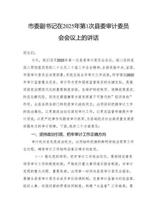 市委副书记在2025年第1次县委审计委员会会议上的讲话.docx