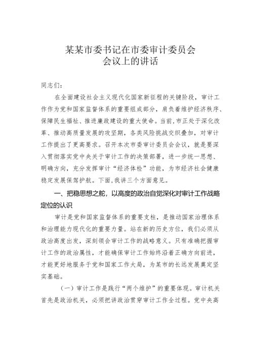 某某市委书记在市委审计委员会会议上的讲话.docx