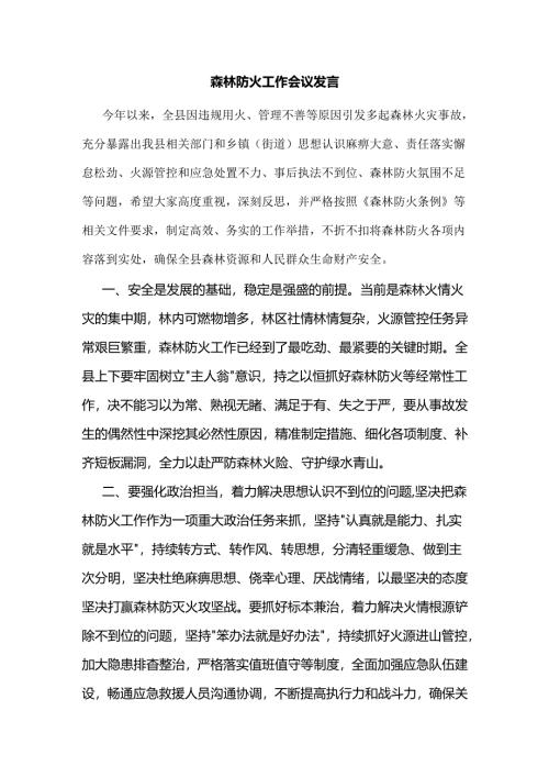 森林防火工作会议发言.docx