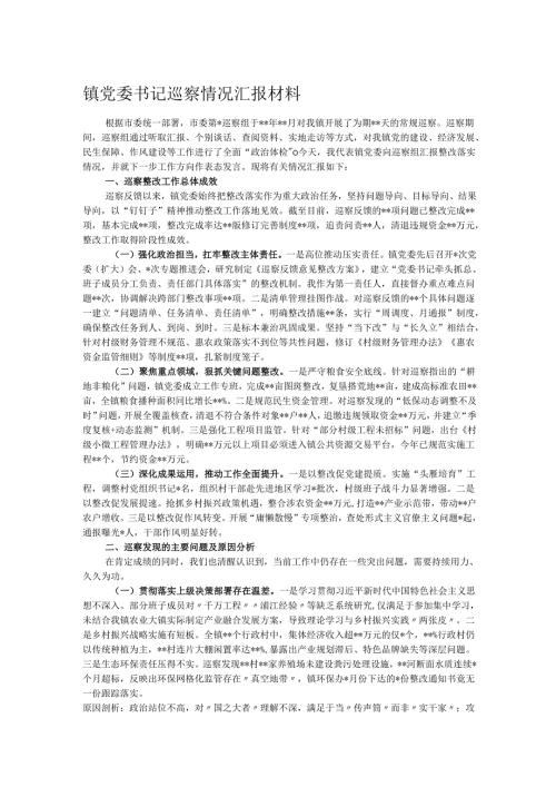 镇党委书记巡察情况汇报材料.docx