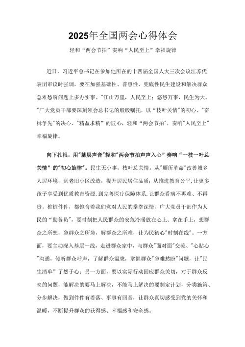 2025年全国两会发言稿.docx