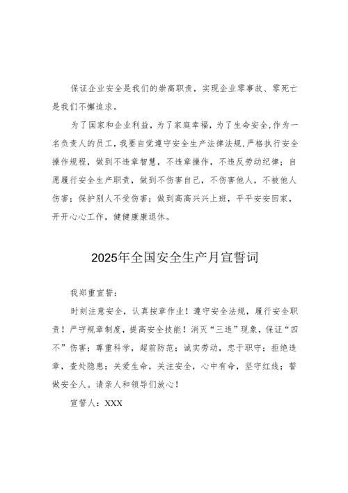 2025年《安全生产月》个人宣誓词 （3份）_100.docx