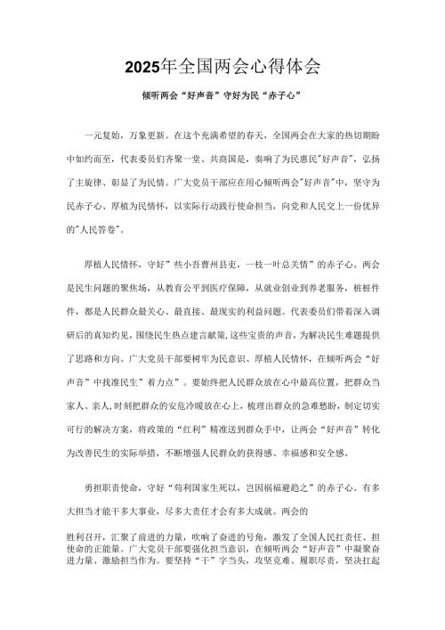 2025年两会心得体会6篇.docx