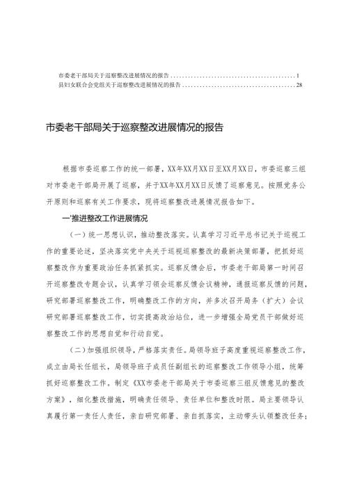 2025年 党组关于巡察整改进展情况的报告.docx