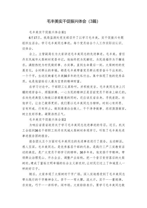 毛丰美实干促振兴体会（3篇）.docx