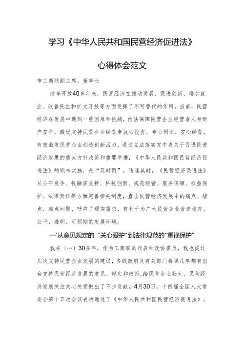 学习《中华人民共和国民营经济促进法》心得体会范文.docx