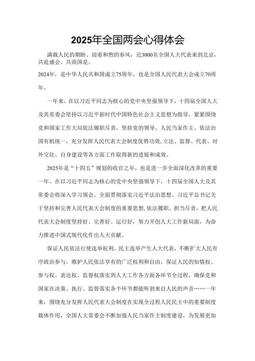 2025年两会发言稿.docx