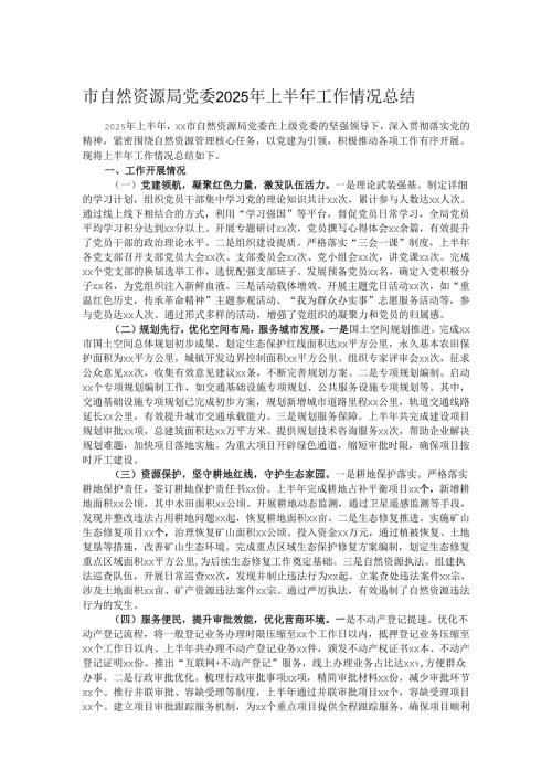 市自然资源局党委2025年上半年工作情况总结.docx