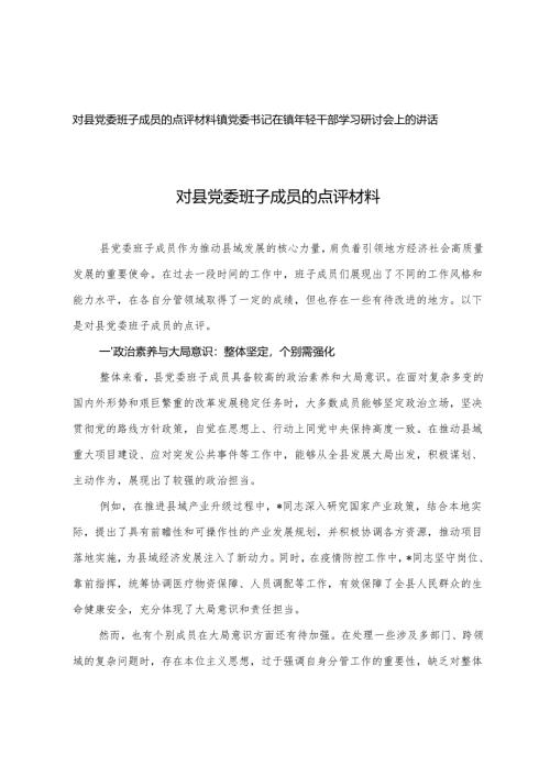2025年对县党委班子成员的点评材料+镇党委书记在镇年轻干部学习研讨会上的讲话.docx