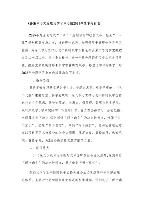 X县某中心党组理论学习中心组2025年度学习计划.docx
