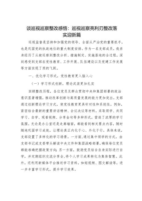 谈巡视巡察整改感悟：巡视巡察亮利刃整改落实迎新篇.docx