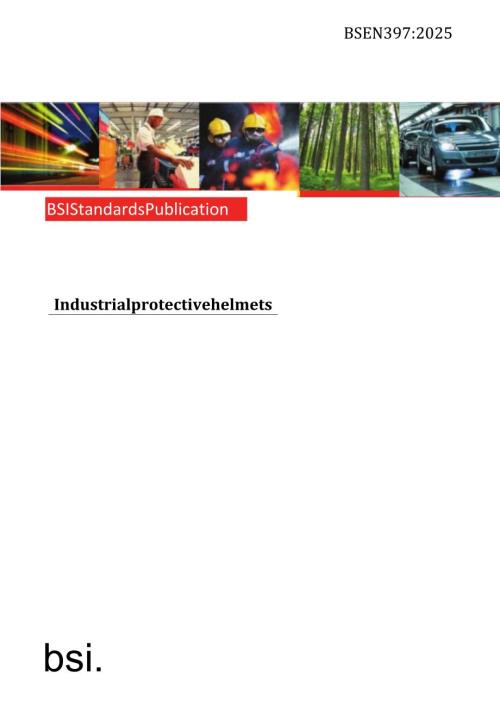 BS EN 397 2025.docx