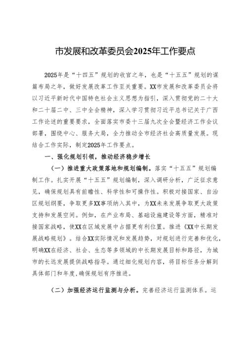 市发展和改革委员会2025年工作要点 .docx