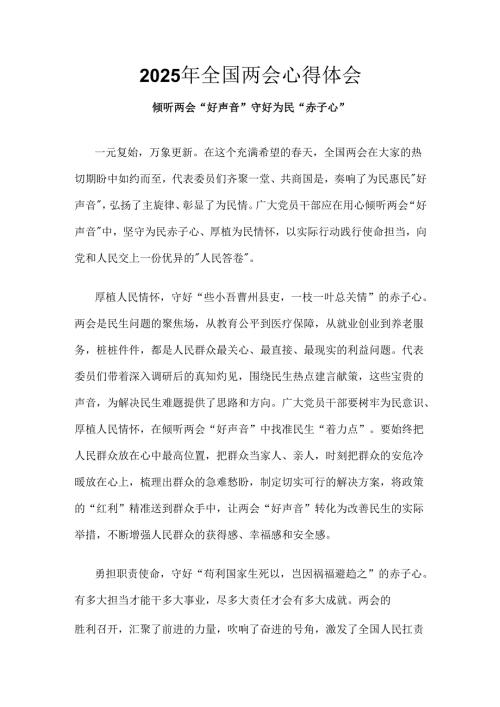 国企2025年学习全国两会精神发言稿资料合集.docx