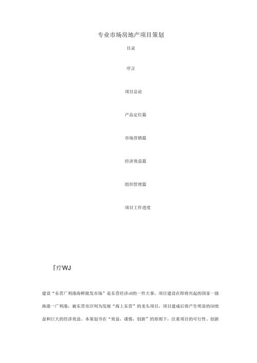 专业市场房地产项目策划.docx