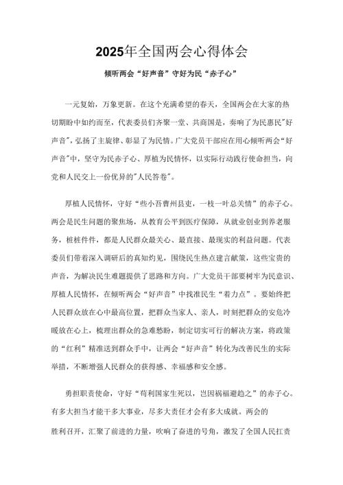 2025年两会心得体会六篇合集.docx