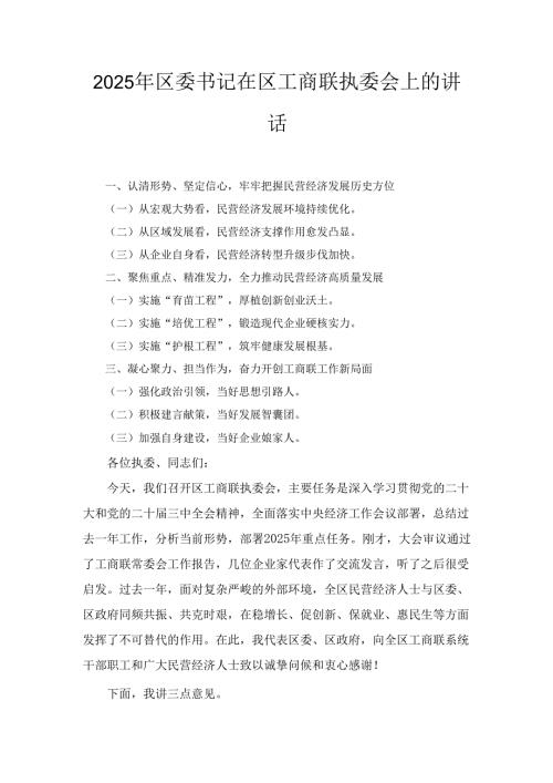 2025年区委书记在区工商联执委会上的讲话.docx