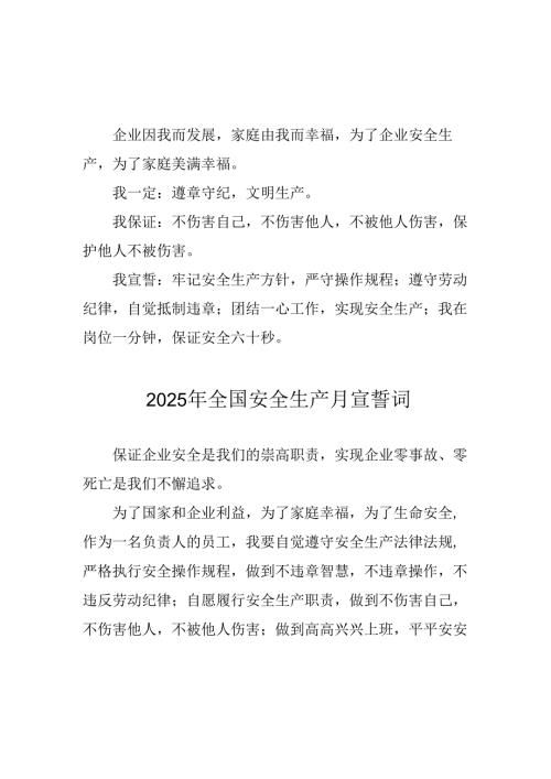 2025年《安全生产月》个人.docx