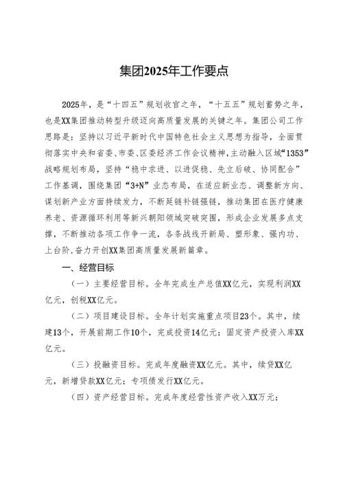 集团2025年工作要点.docx