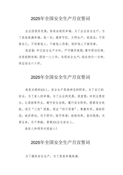 2025年全国《安全生产月》个人宣誓词 （3份）.docx