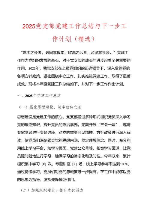 2025 党支部党建工作总结与下一步工作计划（精选）.docx