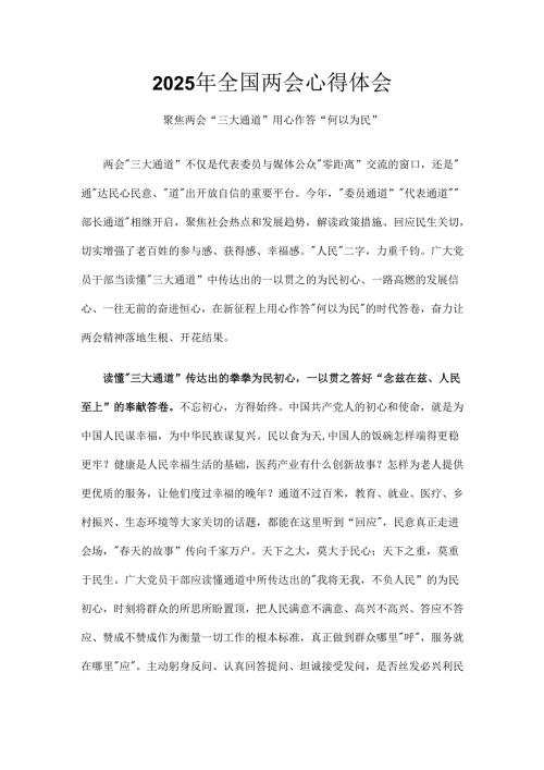 2025年全国两会心得体会合集资料.docx