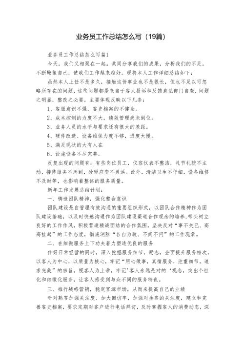 业务员工作总结怎么写（19篇）.docx
