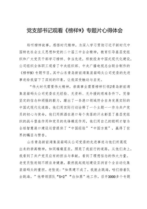 党支部书记观看《榜样9》专题片心得体会.docx