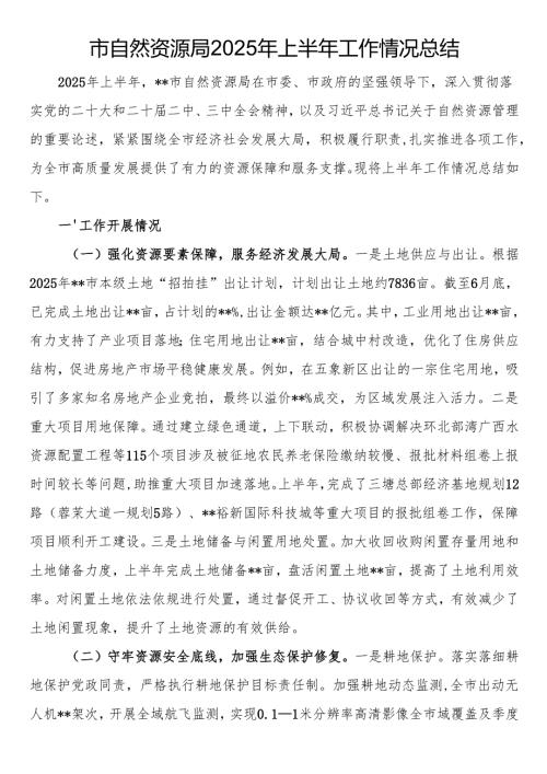 市自然资源局2025年上半年工作情况总结.docx