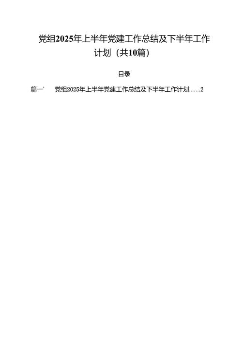 （10篇）党组2025年上半年党建工作总结及下半年工作计划范文.docx