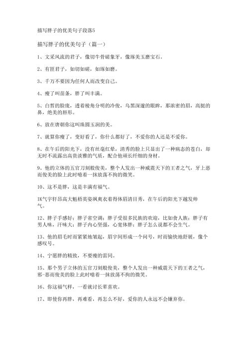 描写胖子的优美句子段落.docx