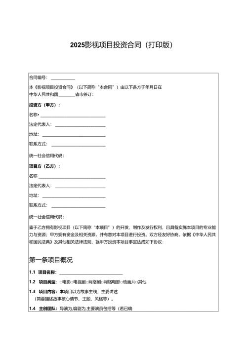 2025影视项目投资合同（打印版）.docx