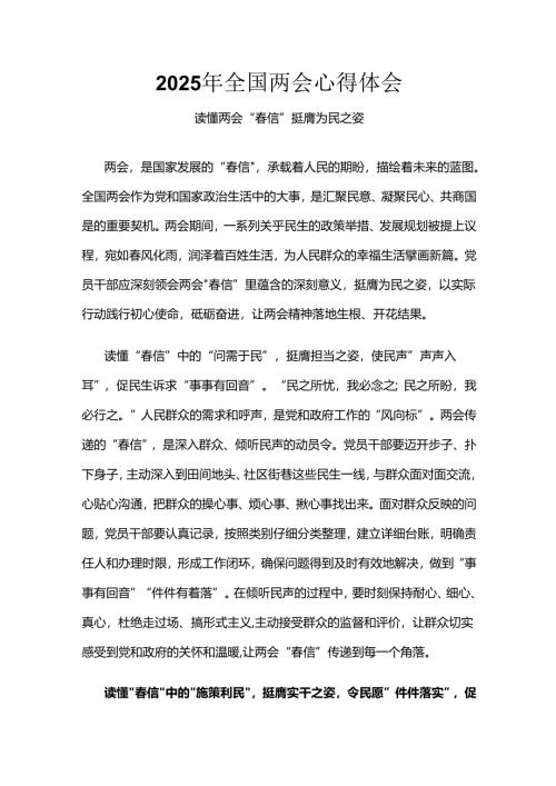 2025年两会发言稿资料多篇合集.docx