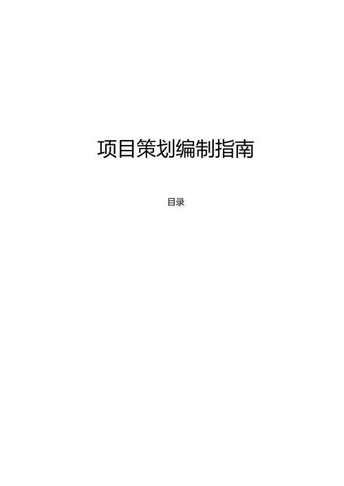 项目策划编制指南.docx