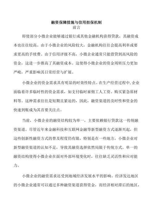 融资保障措施与信用担保机制.docx