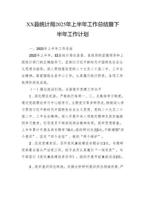 县统计局2025年上半年工作总结暨下半年工作计划.docx