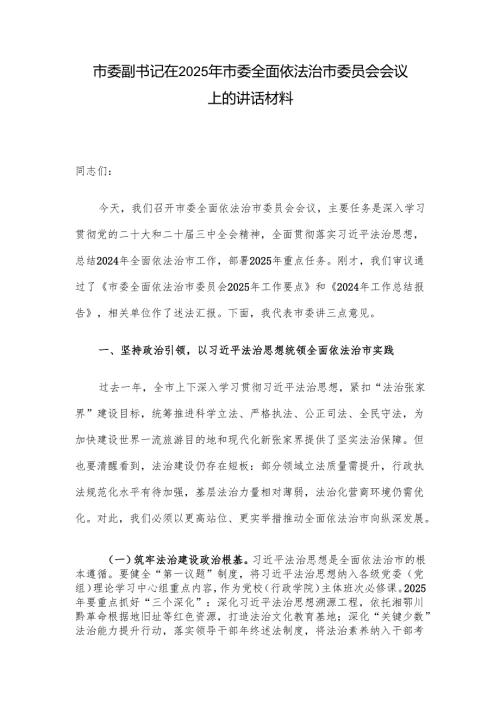 市委副书记在 2025年市委全面依法治市委员会会议上的讲话材料.docx