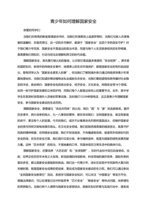 青少年如何理解国家安全演讲稿.docx