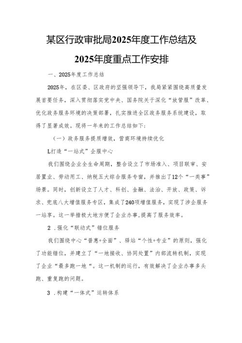 某区行政审批局2025年度工作总结及2025年度重点工作安排4.docx