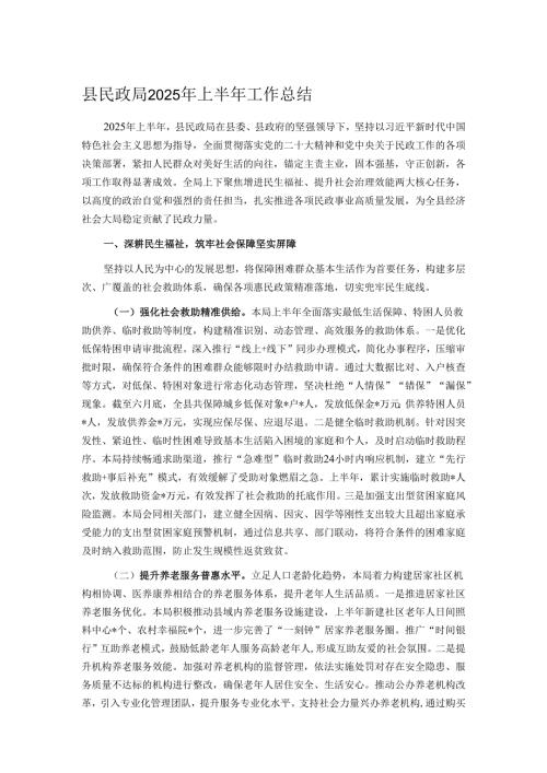 县民政局2025年上半年工作总结.docx