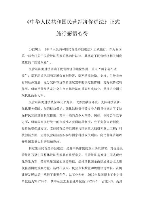 《中华人民共和国民营经济促进法》 正式施行感悟心得.docx