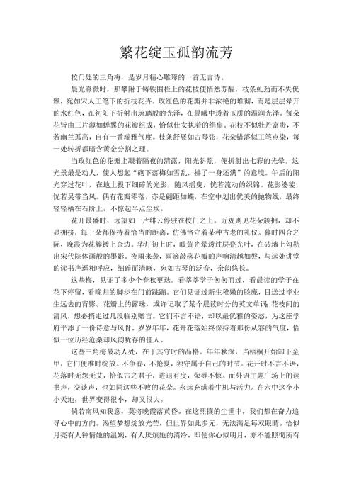 繁花绽玉孤韵流芳作文.docx